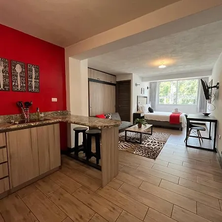 Dst1 Convenient Studio In Zone 15